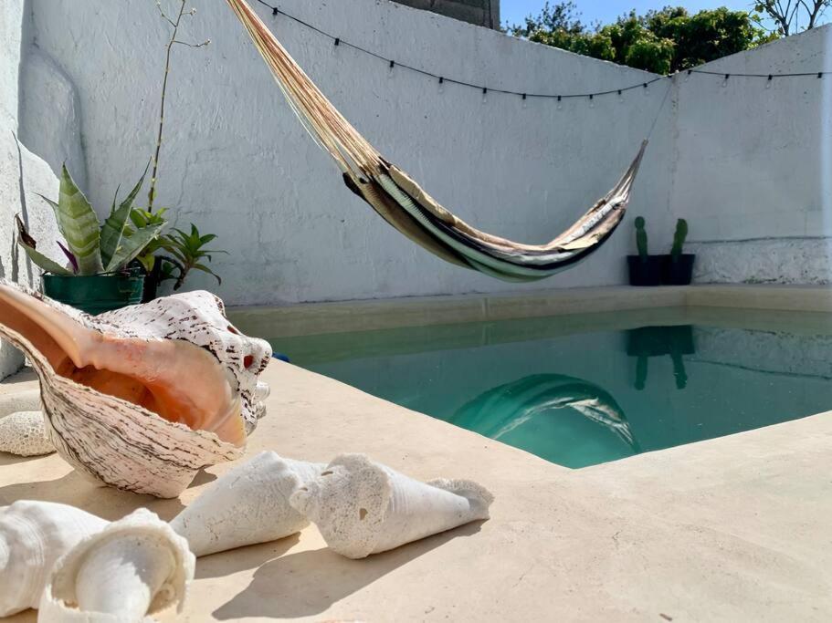 Casita Azul Colonial En El Centro De Merida. Exteriör bild