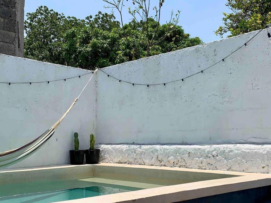 Casita Azul Colonial En El Centro De Merida. Exteriör bild