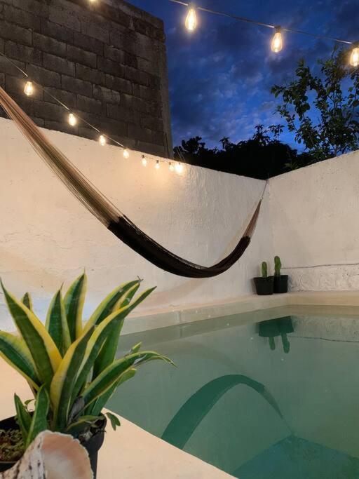 Casita Azul Colonial En El Centro De Merida. Exteriör bild