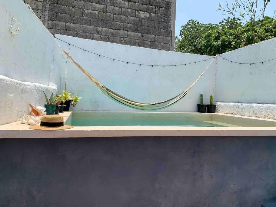 Casita Azul Colonial En El Centro De Merida. Exteriör bild