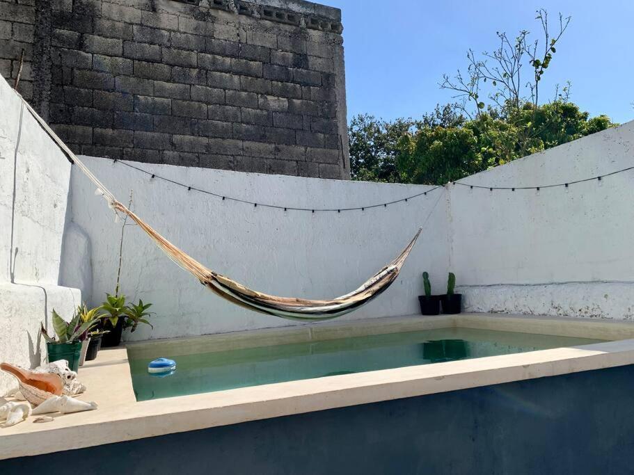 Casita Azul Colonial En El Centro De Merida. Exteriör bild