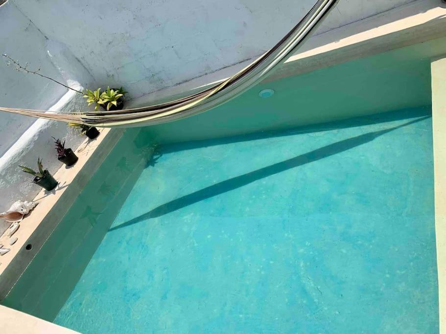 Casita Azul Colonial En El Centro De Merida. Exteriör bild